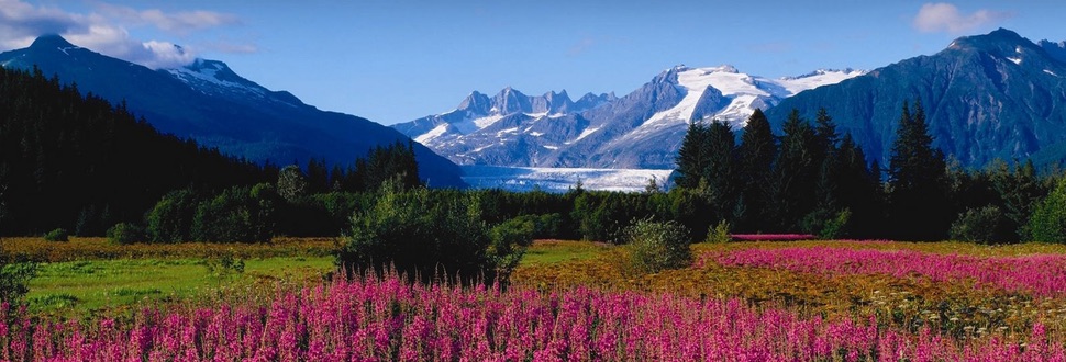 Mendenhall Glacier