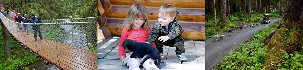 Dog sled summer camp in Juneau Alaska