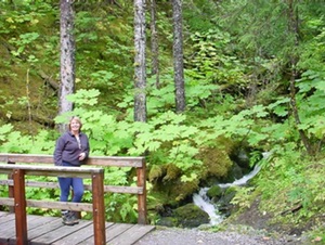 East Glacier Trail overlook Junea Alaska